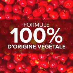 Acérola 1000 - 30 cp. Lot de 2