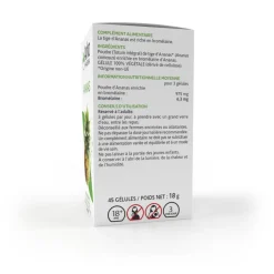 Arkogélules® Ananas