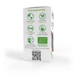 Arkogélules® BIO Ail noir