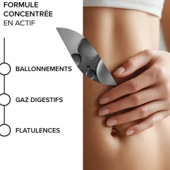 Arkogélules® BIO Charbon Végétal Activé
