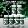 Arkogélules® Coenzyme Q10
