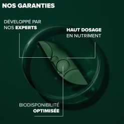 Arkogélules® Coenzyme Q10