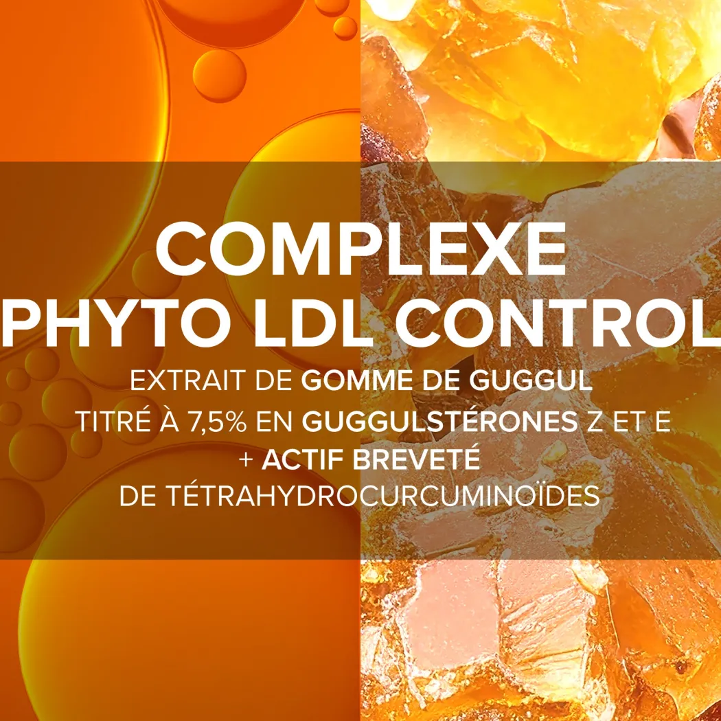 Arkogélules® Complexe Phyto LDL Control