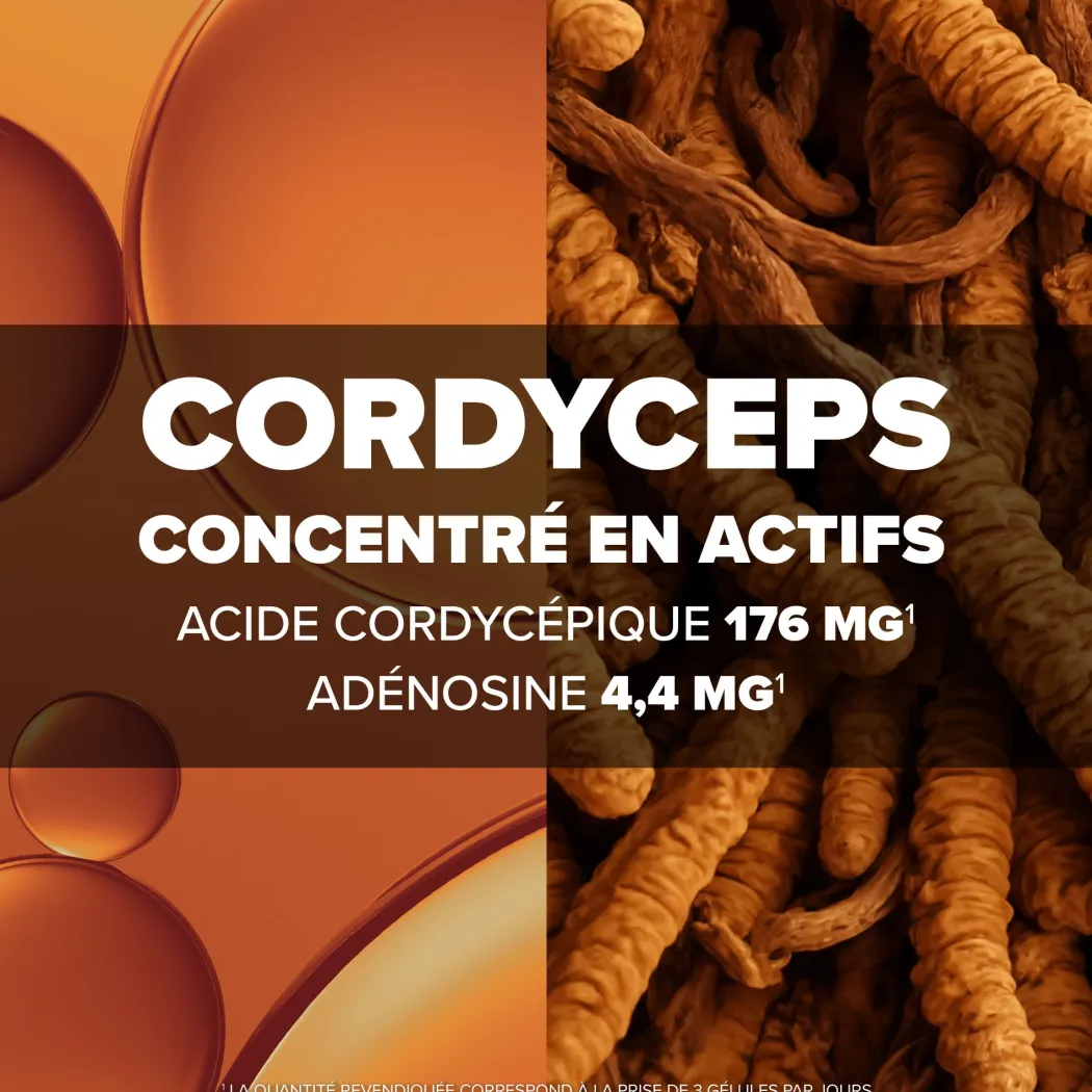 Arkogélules® Cordyceps