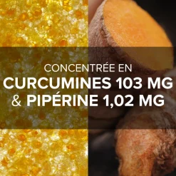 Arkogélules® Curcuma Pipérine