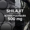 Arkogélules® Shilajit
