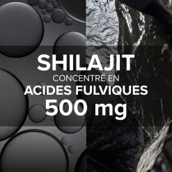 Arkogélules® Shilajit