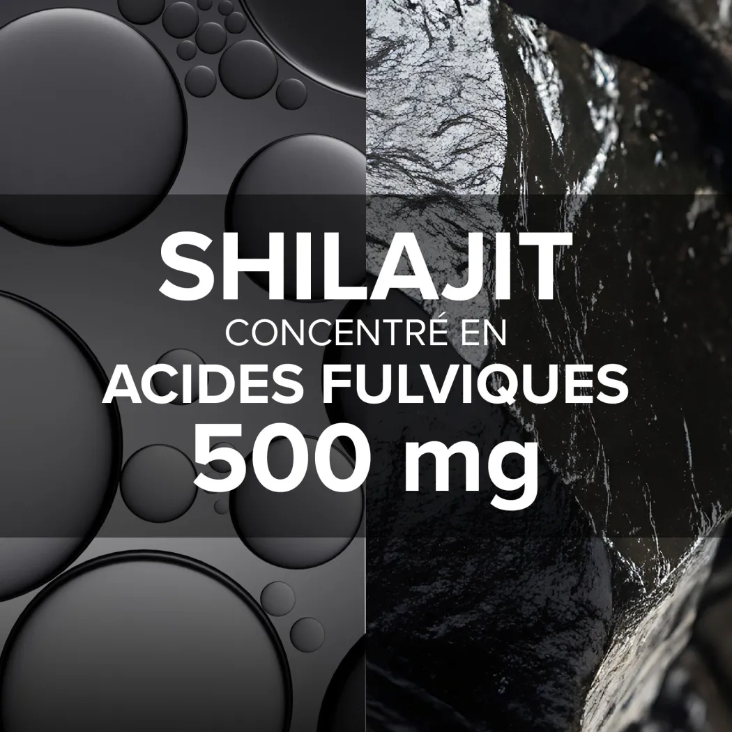 Arkogélules® Shilajit
