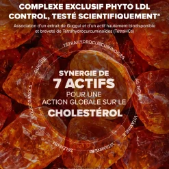 Arkostérol® Expert