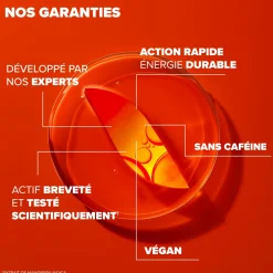 Azinc Expert Fatigue Intense Epuisement