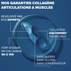 Collagène articulations & muscles