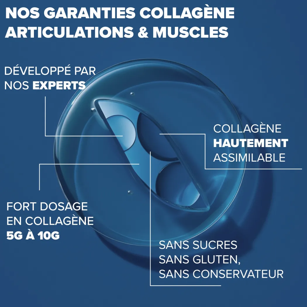 Collagène articulations & muscles
