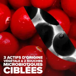 Cys-Control® Fort Probiotiques