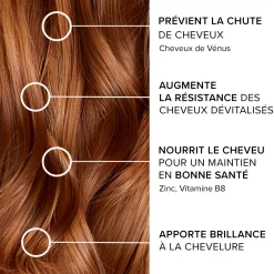 Forcapil® Anti-chute - 1 mois offert