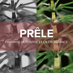 Forcapil® Gummies Croissance