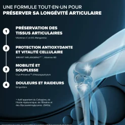 Santé Longévité Capital Articulaire