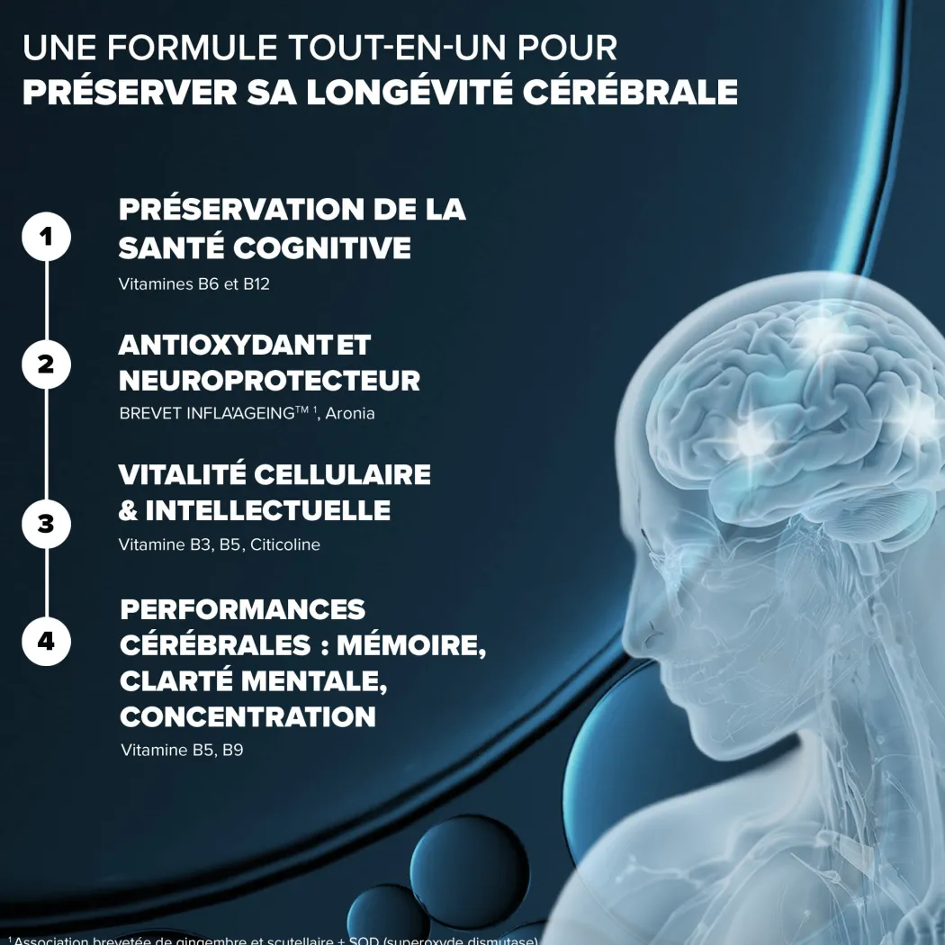 Santé Longévité Capital Cérébral