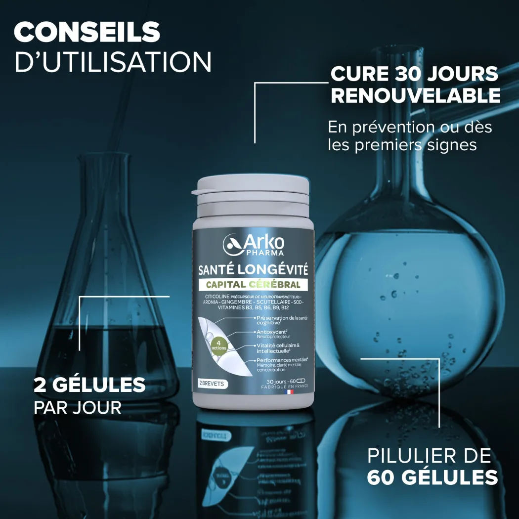 Santé Longévité Capital Cérébral