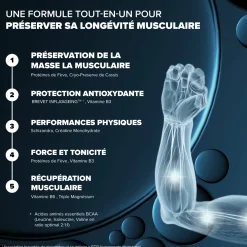 Santé Longévité Capital Musculaire